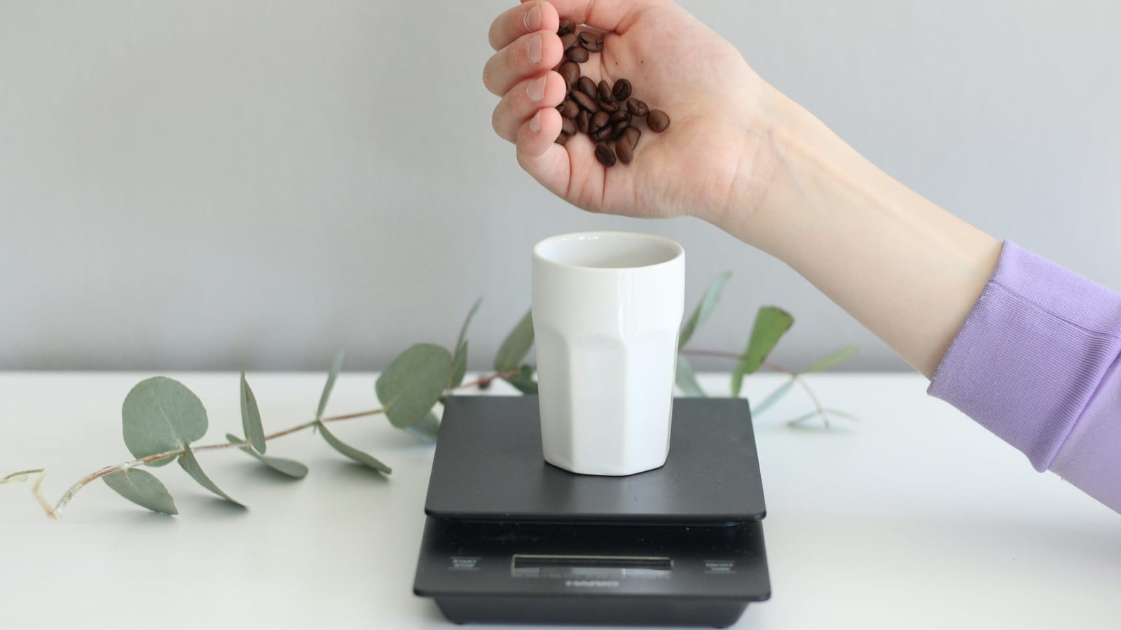 Mão despejando grãos de café em uma caneca branca apoiada em uma balança digital, com um ramo de eucalipto ao lado