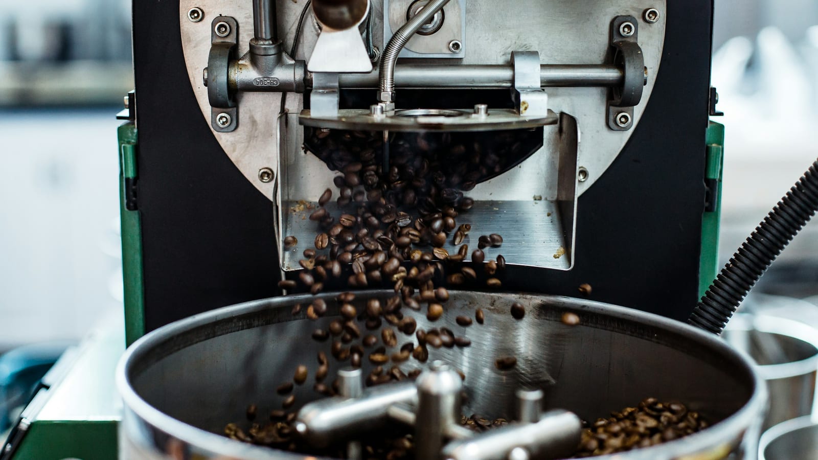 Torrador de café com grãos recém-torrados caindo no tambor de resfriamento